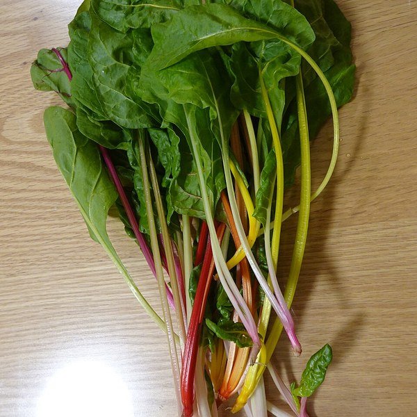 Swiss Chard Leaves