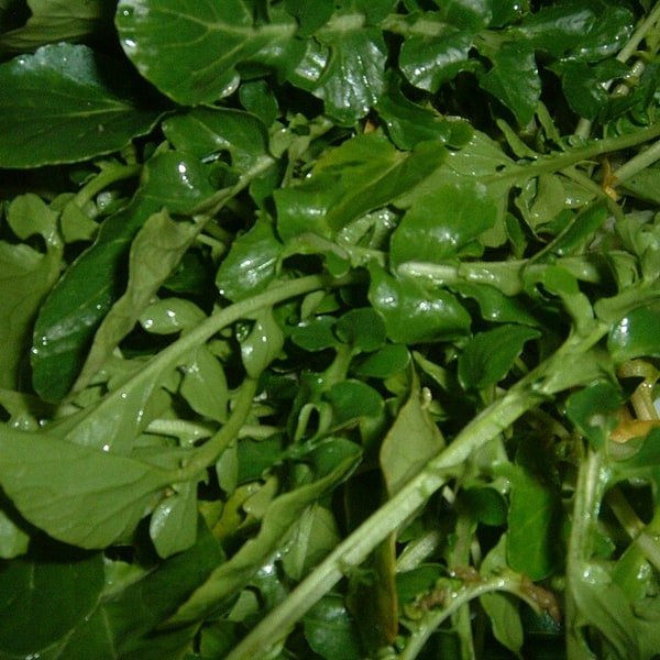 Watercress Sprigs