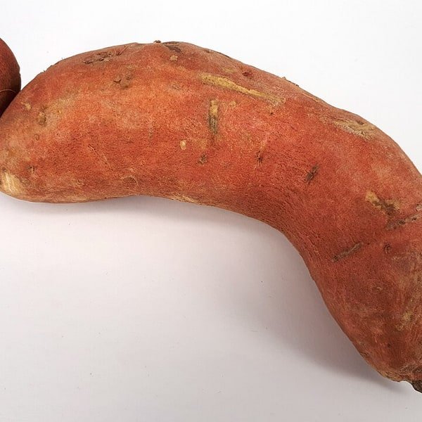 Sweet Potato Medium