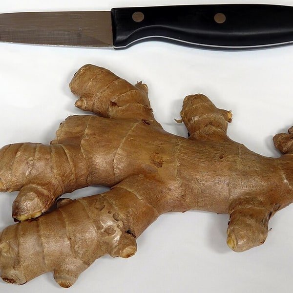 Ginger Root Fresh