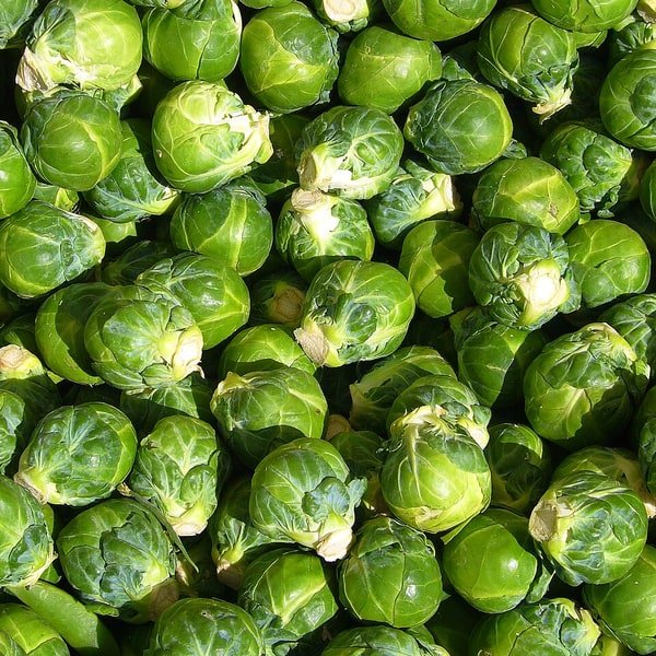 Brussels Sprouts Pack
