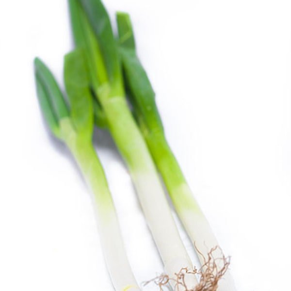 Leek Stalk Fresh